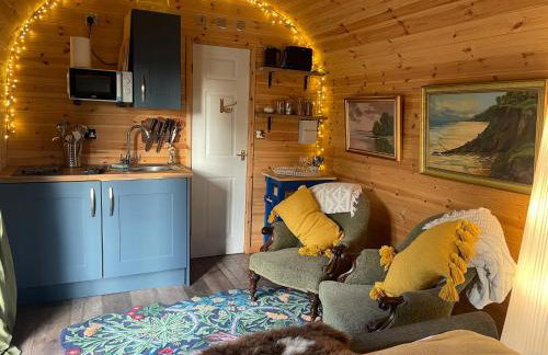 Raiders Rest Cabin - Farm Stay - Dark Skies - Galloway - Near pub and village shop - Foto 7