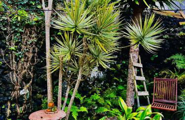 Portugal House - Foto 25