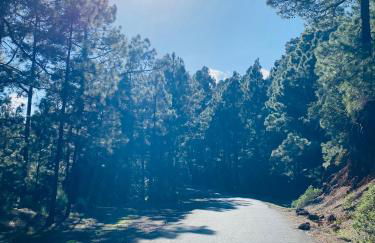 Apartamento Atlantico - Foto 72