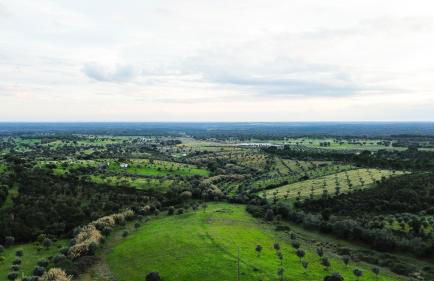 Casa Cristão Velho - Foto 23