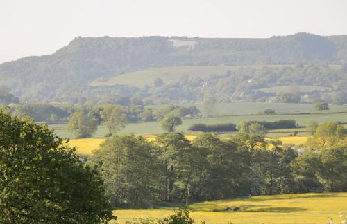 Ickle Pickle Cottage - Photo 15