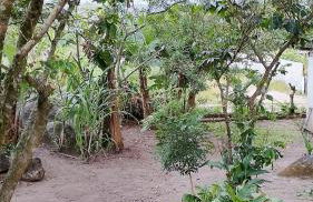 Santo Chalé - Foto 29