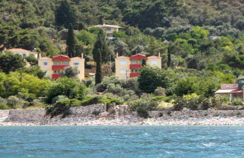 Argo Studios - Foto 13