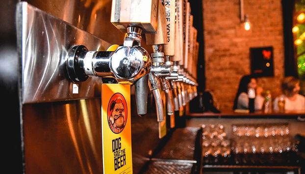 Você vai provar cervejas deliciosas