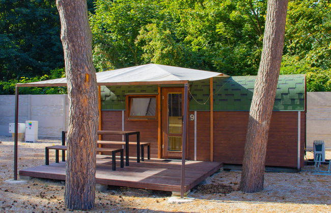 1 bedroom House in Hradec Kralove with garden - Photo 12