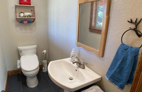 Secluded Modern Cabin On 10 Acres Tarryall Creek - Foto 31