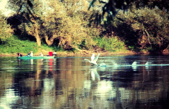 Amazing Chalet with Private Garden, Hot Tub, Sauna, Great Location by the River - Foto 37