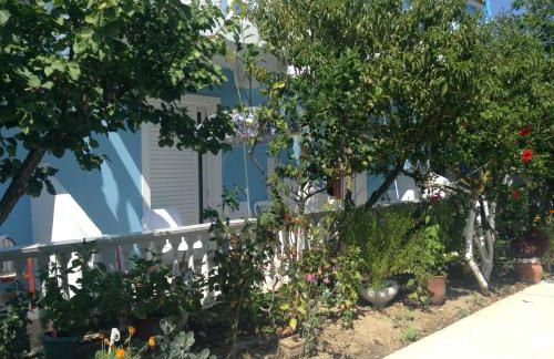 Dina Studios - Photo 37