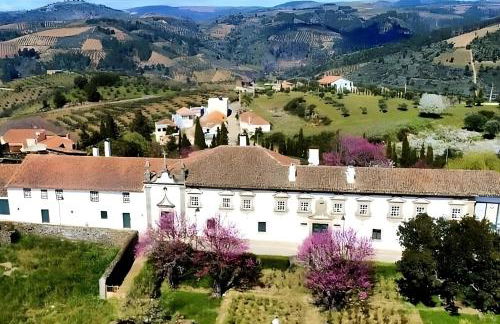 SOLAR DAS ARCAS Manor House - Foto 4