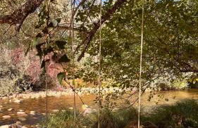 Refúgio dos Mauzinhos - Foto 23