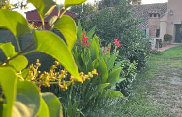 El huerto de Lino - Foto 22