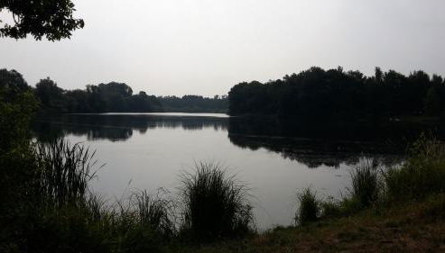 Alte Schule Steinen - Foto 4