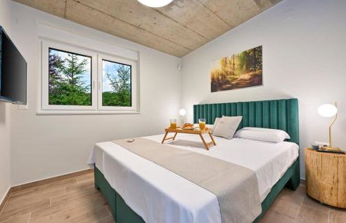 Skitnica House Brulo - Photo 2