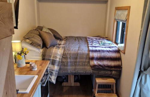 Cosy Owl - Shepherds Hut - Foto 10