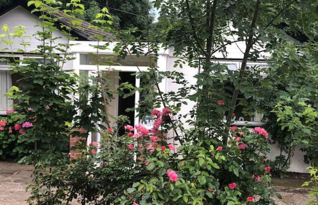 Whole House Cottage with huge Garden - Foto 22