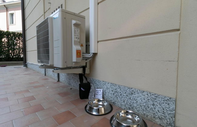 Violet House Garden - Foto 33