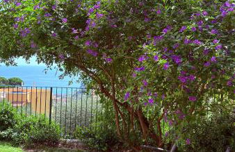 Wanda Mtb Paradise Home - Foto 46