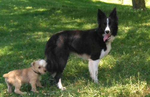 PequeñoCabárceno - Foto 29