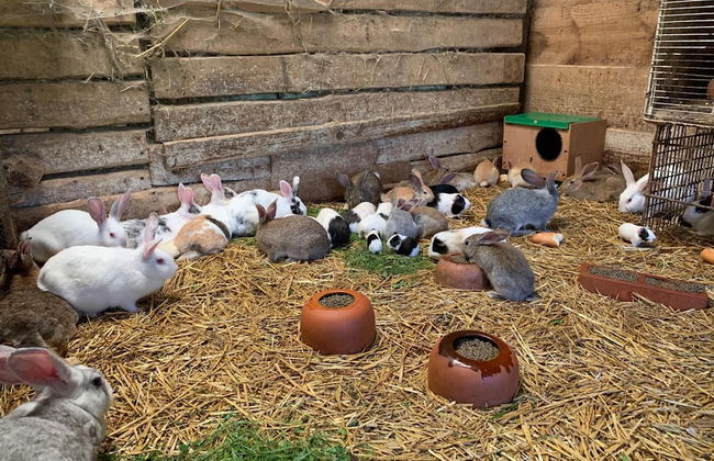 Agroturismo Urresti - Foto 30