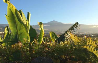 FINCA LA PLANTACIÓN _Agroturismo - Foto 1