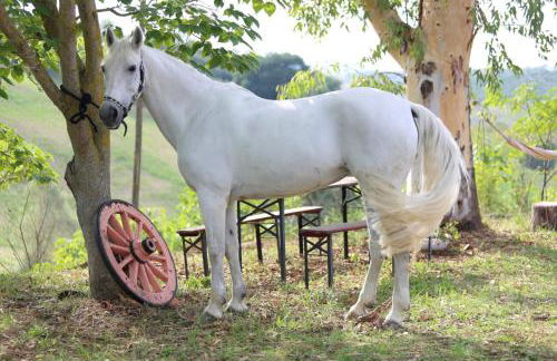 Manuel suites - Foto 9