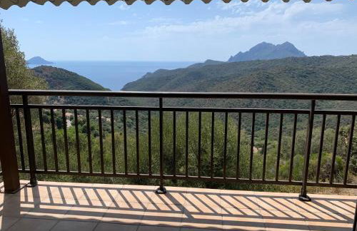 Les Asphodèles - Foto 32