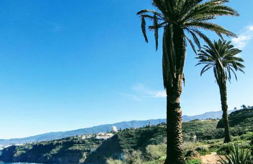 La Pardela Oceanfront - Foto 23