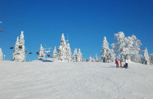 Bayerwaldblockhaus - Chalet in Bayern - Foto 9