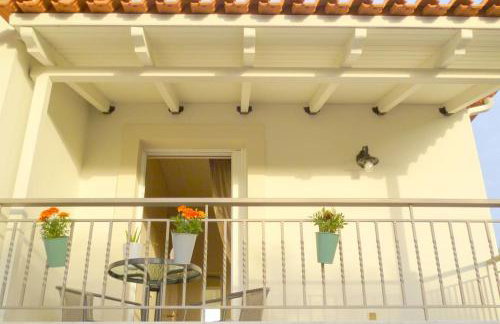 Ανεμώνη - Anemoni - Foto 19