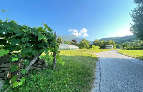 Il Sogno Della Vita AgriResort - Country Rooms & Suites - Foto 35