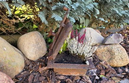 Ferien im Gartenrausch - Gönn Dir eine Auszeit im Herzen von Wörlitz - Foto 25