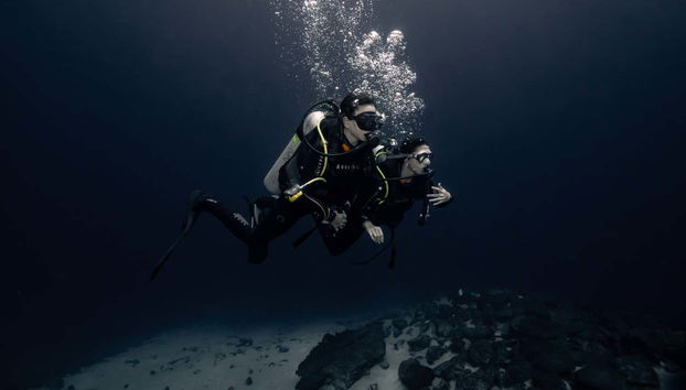 Cenote Diving Experience in Mérida - Foto 3