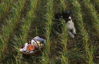 Parcel Tiny House Vallée, près de Verdun - Foto 10