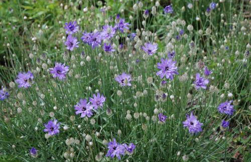 les Gites de l’E.D.E. - Photo 51