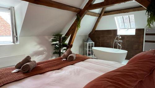 Le Laurencin Sens - Le Duplex - Cœur de ville - Foto 2, towels