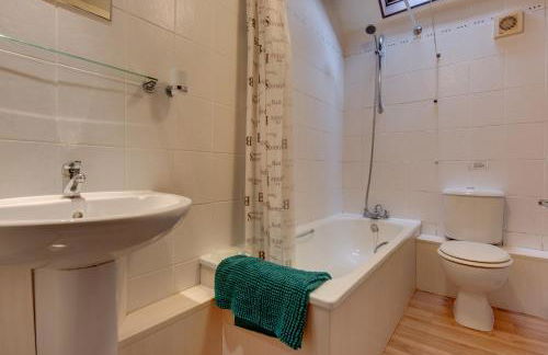 Birds Farm - Foto 62