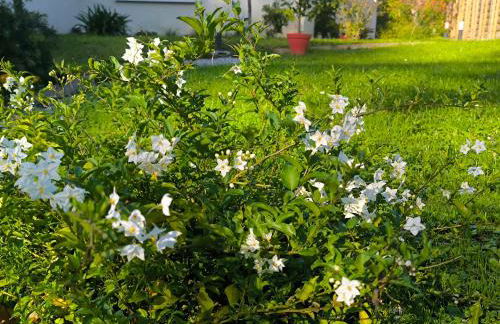 Les Treilles de Salies - Studio au calme - Foto 26