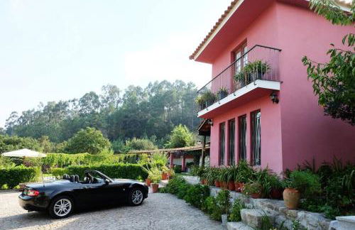 Leiras de Candoz Douro Valley - Foto 9