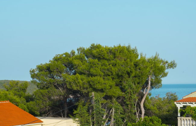 Victorious VIScovery Red - Foto 53