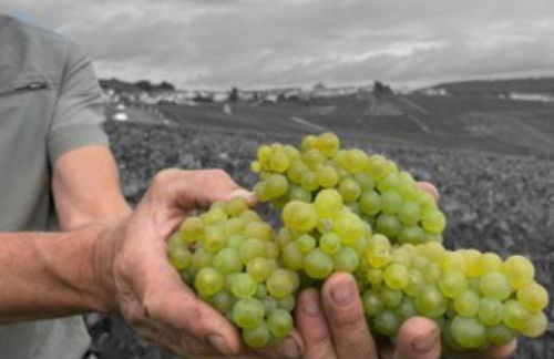 Gîte en champagne Le Sarment - Foto 13