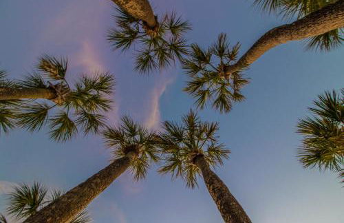 Safari Suite - Photo 30