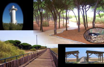 Playa Eucaliptos 1A - Foto 36