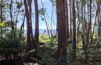 Quinta da Tapada - Foto 48