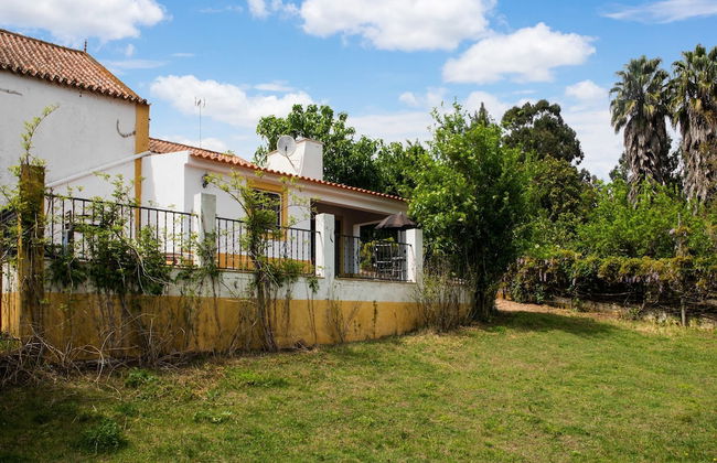 Wine Country Home in Alentejo - Foto 26