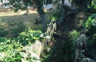 A Lagosta Perdida - Foto 32