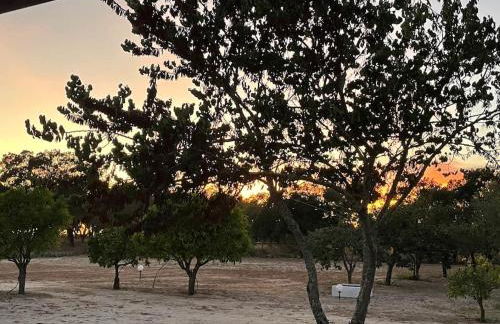 Monte Velho - Country House - Foto 20