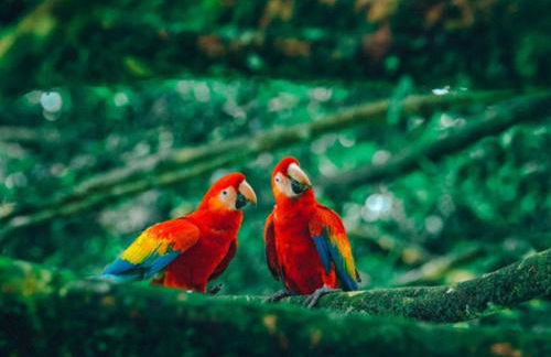 Barra Bonita Pousada - Foto 41