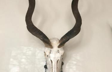 Historic Adobe 1 acre compound ultimate Santa Fe immersion Classic & Dreamy - Foto 22