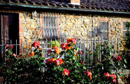 Agriturismo Le Cerinaie - Foto 7