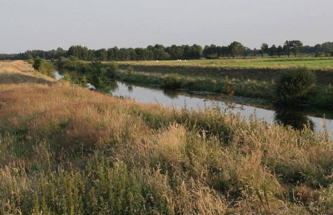 Chalet in Ootmarsum on Kuiperberg - Foto 33